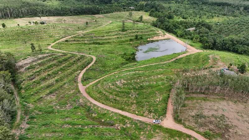 Land for Sale: 121 Rai near Na Yai Am Intersection, Chanthaburi. Frontage on two paved roads, with e, Chanthaburi, Na Yai Am, Chanthaburi, , 194,579 sqm, Land For Sale, by สุเทพ พสุวณิชย์กุล, 500511709 - DDproperty.com