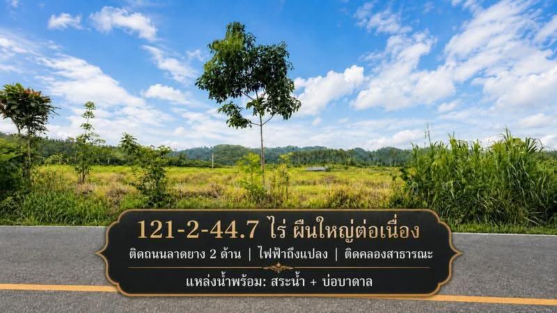 ขายที่ดิน 121 ไร่ ใกล้แยกนายายอาม จันทบุรี ติดถนนลาดยาง 2 ด้าน ไฟฟ้าพร้อม มีสระน้ำและบ่อบาดาล, จันทบุรี, นายายอาม, จันทบุรี, 194,579 ตร.ม., ที่ดิน ขาย, โดย สุเทพ พสุวณิชย์กุล, 500511709 - DDproperty.com