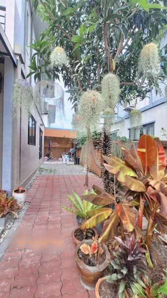 The Plant Kinkeao-Thepharak : เดอะแพลนท์ กิ่งแก้ว-เทพารักษ์, สมุทรปราการ, บางพลีใหญ่, บางพลี, สมุทรปราการ, 156 ตร.ม., บ้านเดี่ยว ให้เช่า, โดย Airada Parasarn, 500511760 - DDproperty.com