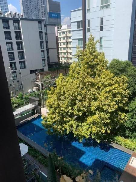 The Next Sukhumvit 52 : เดอะ เน็กซ์ สุขุมวิท 52, กรุงเทพ, 41 ถนนสุขุมวิท 52, บางจาก, พระโขนง, กรุงเทพ, 52 ตร.ม., คอนโด ให้เช่า, โดย Connex Property, 500511800 - DDproperty.com