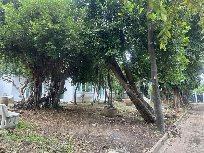 หมู่บ้านธนากร วิลล่า 1, Nonthaburi, Wat Chalo, Bang Kruai, Nonthaburi, 3 Bedrooms, 320 sqm, Single Detached House For Rent, by Panthawan Keeratithavornanan, 500511839 - DDproperty.com