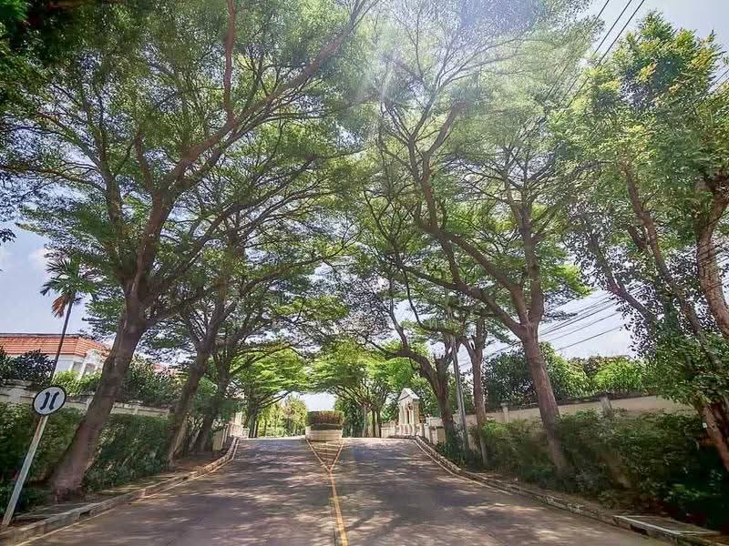 Urban Sathorn, Bangkok, Ratchaphruek Road, Bang Chak, Phasi Charoen, Bangkok, 5 Bedrooms, 320 sqm, Townhouse For Rent, by จิตราภรณ์ พิมพ์จันทร์, 500511844 - DDproperty.com