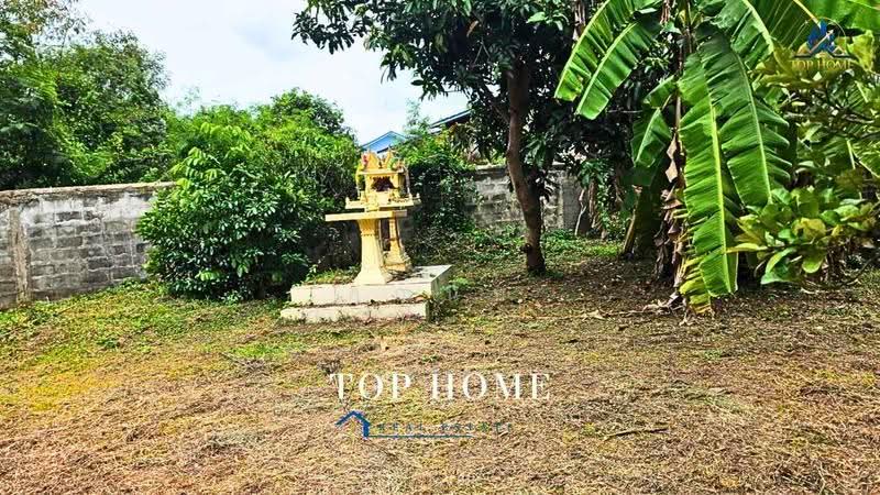 ขายด่วน! บ้านเดี่ยว 2 ชั้น บนที่ดินกว่า 2 งาน บ้านหลังใหญ่ ชัยนาท, Chai Nat, Khung Samphao, Manorom, Chai Nat, 4 Bedrooms, 444 sqm, Single Detached House For Sale, by คุณนับ, 500511897 - DDproperty.com