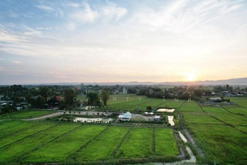บ้านเดี่ยวพร้อมที่ดินเทิง เชียงราย, Chiang Rai, Ngiu, Thoeng, Chiang Rai, , 15,849 sqm, Land For Sale, by The Best Property ไนล์, 500511899 - DDproperty.com