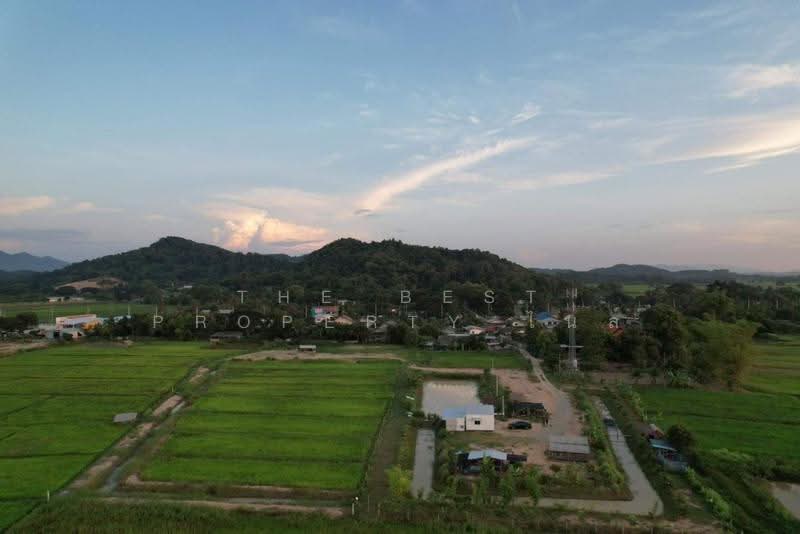บ้านเดี่ยวพร้อมที่ดินเทิง เชียงราย, Chiang Rai, Ngiu, Thoeng, Chiang Rai, , 15,849 sqm, Land For Sale, by The Best Property ไนล์, 500511899 - DDproperty.com