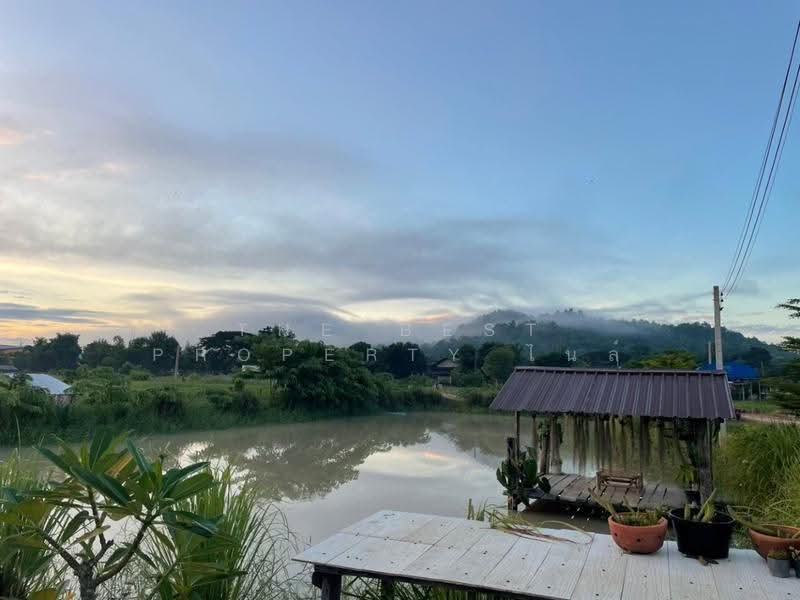 บ้านเดี่ยวพร้อมที่ดินเทิง เชียงราย, Chiang Rai, Ngiu, Thoeng, Chiang Rai, , 15,849 sqm, Land For Sale, by The Best Property ไนล์, 500511899 - DDproperty.com