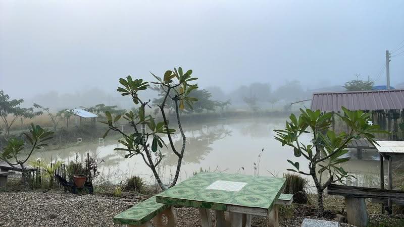 บ้านเดี่ยวพร้อมที่ดินเทิง เชียงราย, Chiang Rai, Ngiu, Thoeng, Chiang Rai, , 15,849 sqm, Land For Sale, by The Best Property ไนล์, 500511899 - DDproperty.com