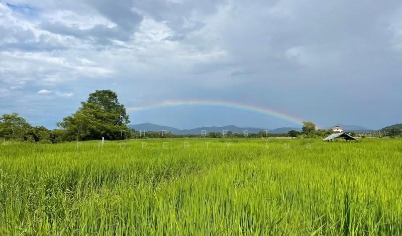 บ้านเดี่ยวพร้อมที่ดินเทิง เชียงราย, เชียงราย, งิ้ว, เทิง, เชียงราย, 15,849 ตร.ม., ที่ดิน ขาย, โดย The Best Property ไนล์, 500511899 - DDproperty.com