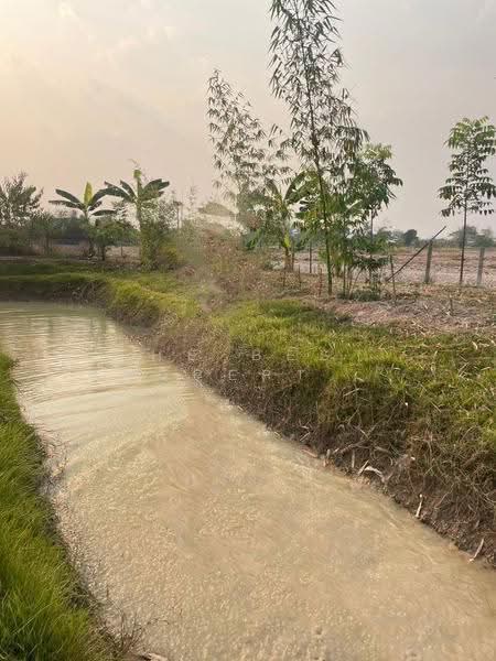 บ้านเดี่ยวพร้อมที่ดินเทิง เชียงราย, Chiang Rai, Ngiu, Thoeng, Chiang Rai, , 15,849 sqm, Land For Sale, by The Best Property ไนล์, 500511899 - DDproperty.com