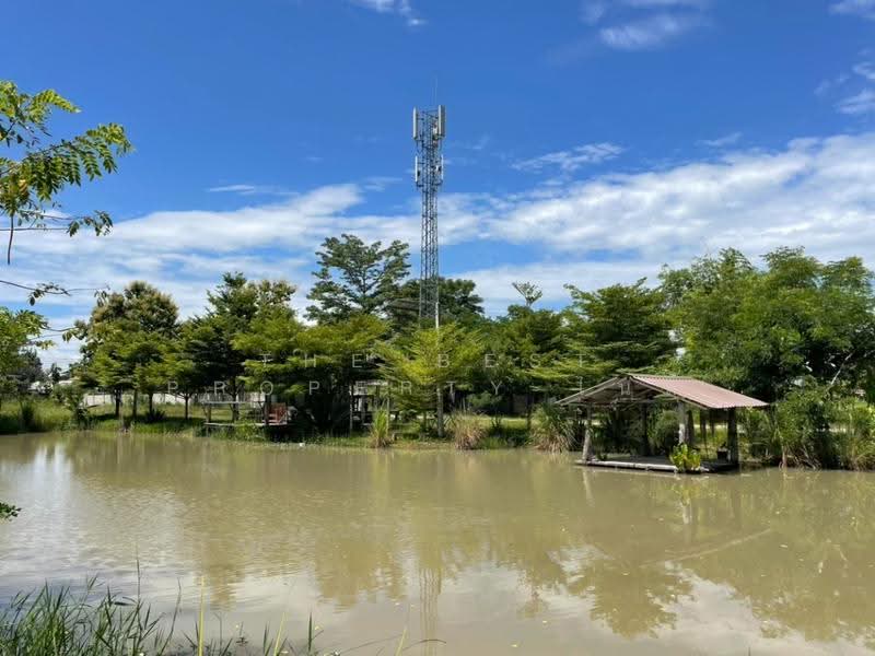 บ้านเดี่ยวพร้อมที่ดินเทิง เชียงราย, Chiang Rai, Ngiu, Thoeng, Chiang Rai, , 15,849 sqm, Land For Sale, by The Best Property ไนล์, 500511899 - DDproperty.com