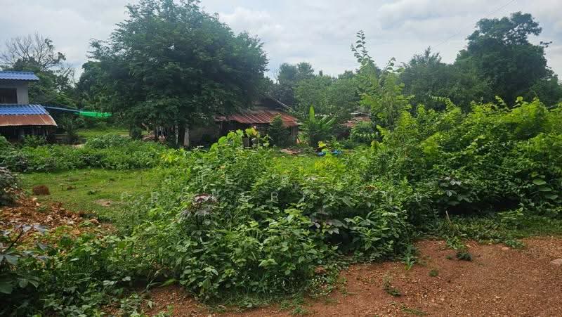 ที่ดินเกาะพลับพลา ราชบุรี, Ratchaburi, Ko Phlappla, Muang Ratchaburi, Ratchaburi, , 204 sqm, Land For Sale, by The Best Property นุ๊บ, 500511909 - DDproperty.com