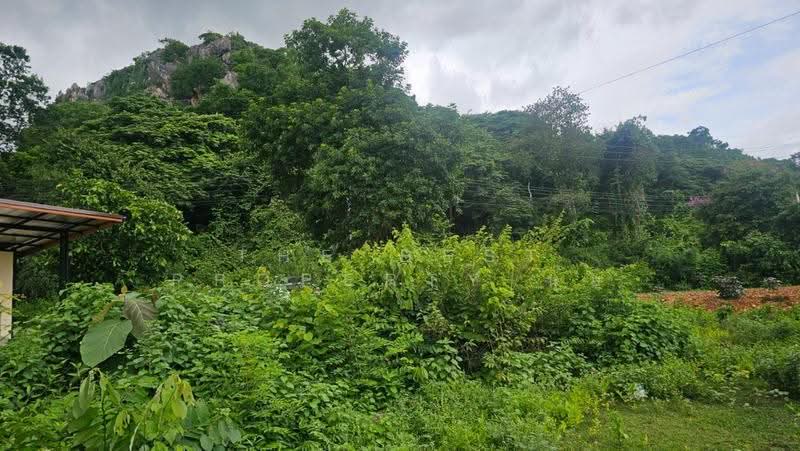ที่ดินเกาะพลับพลา ราชบุรี, Ratchaburi, Ko Phlappla, Muang Ratchaburi, Ratchaburi, , 204 sqm, Land For Sale, by The Best Property นุ๊บ, 500511909 - DDproperty.com