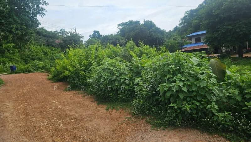 ที่ดินเกาะพลับพลา ราชบุรี, ราชบุรี, เกาะพลับพลา, เมืองราชบุรี, ราชบุรี, 204 ตร.ม., ที่ดิน ขาย, โดย The Best Property นุ๊บ, 500511909 - DDproperty.com