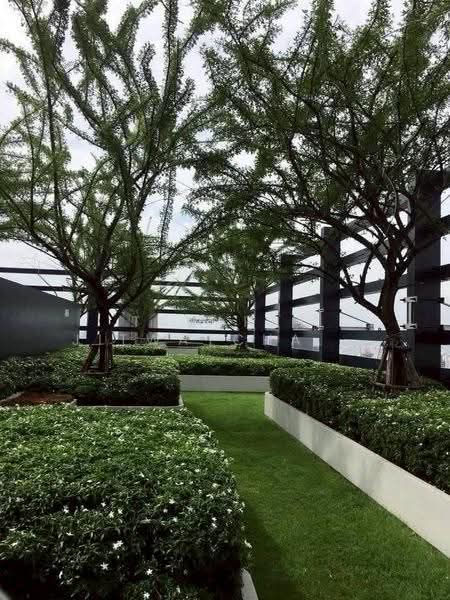 ASHTON Asoke, Bangkok, 131 Asoke Montri Road, Khlongtoei Nua, Watthana, Bangkok, 2 Bedrooms, 47 sqm, Condo For Rent, by Tanapat Jitwatcharakomol, 500512017 - DDproperty.com