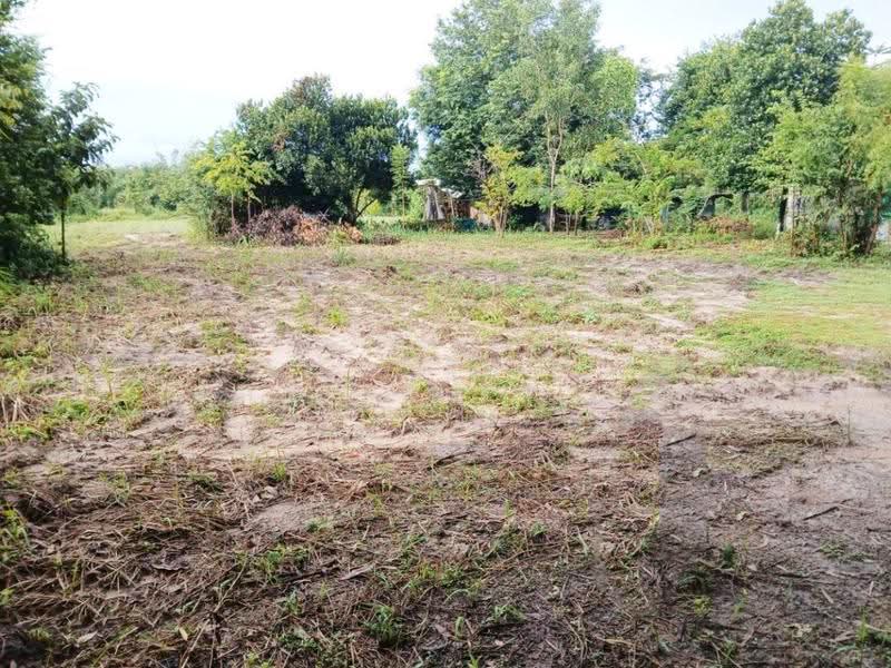 ที่ดินเขาหินซ้อน ฉะเชิงเทรา, Chachoengsao, Khao Hin Son, Phanom Sarakham, Chachoengsao, , 5,816 sqm, Land For Sale, by The Best Property โม, 500512118 - DDproperty.com
