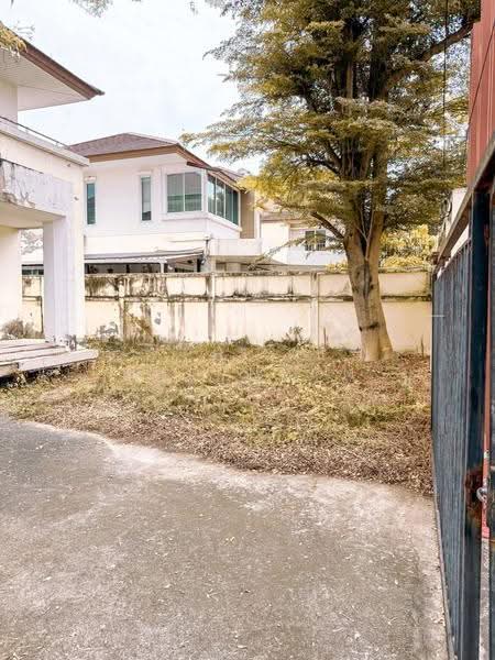 บ้าน 3-ห้องนอน, กรุงเทพ, ทุ่งครุ, กรุงเทพ, 120 ตร.ม., บ้านเดี่ยว ให้เช่า, โดย Aphisit Khotudon, 500512195 - DDproperty.com