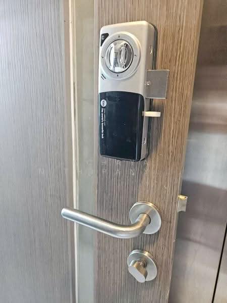 IDEO Q Siam-Ratchathewi, Bangkok, Phetchaburi Road, Thanon Phaya Thai, Ratchathewi, Bangkok, 1 Bedroom, 34 sqm, Condo For Rent, by Achaya Nithipanyawong, 500512315 - DDproperty.com