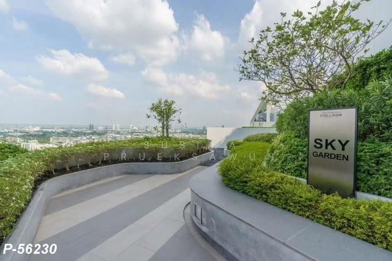 Knightsbridge Collage Sukhumvit 107 : ไนท์บริดจ์ คอลลาจ สุขุมวิท 107, สมุทรปราการ, ถนนสุขุมวิท 107, สำโรงเหนือ, เมืองสมุทรปราการ, สมุทรปราการ, 33 ตร.ม., คอนโด ให้เช่า, โดย Susira Prueksawun, 500512524 - DDproperty.com