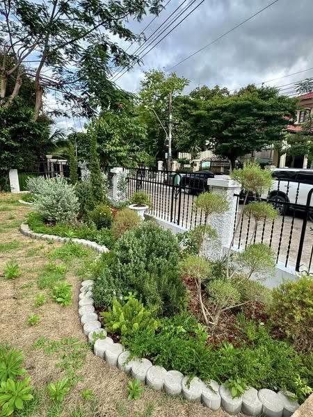House with Land For Rent,(Laddawan Sridan 14, Samut Prakan, Samrong Nua, Muang Samut Prakarn, Samut Prakan, 4 Bedrooms, 280 sqm, Single Detached House For Rent, by ณปภัช ธวงค์ไพ, 500512583 - DDproperty.com
