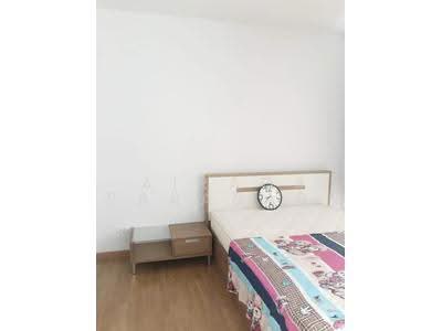 For Rent - The Parkland Petchkasem, Bangkok