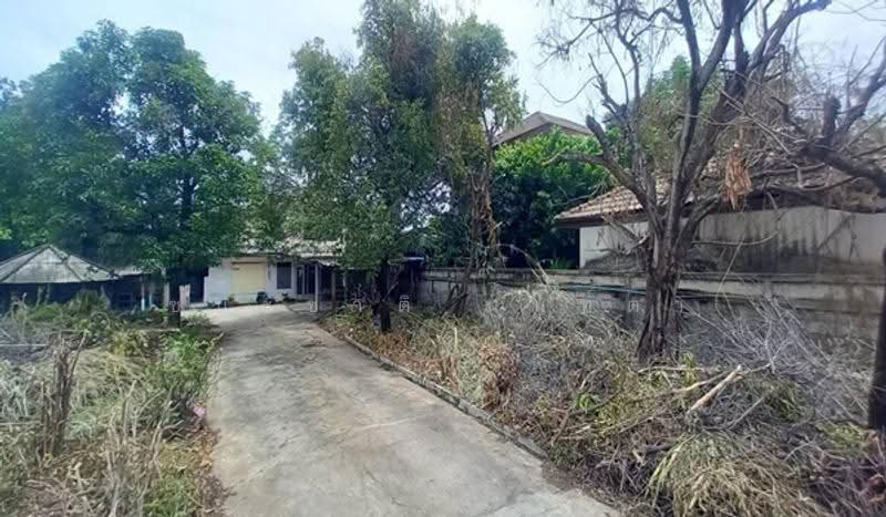 Ladprao 80, Intersection 21, Bangkok, Wang Thonglang, Bangkok, , 932 sqm, Land For Sale, by ชนะชาติ นนท์ตา, 500512629 - DDproperty.com