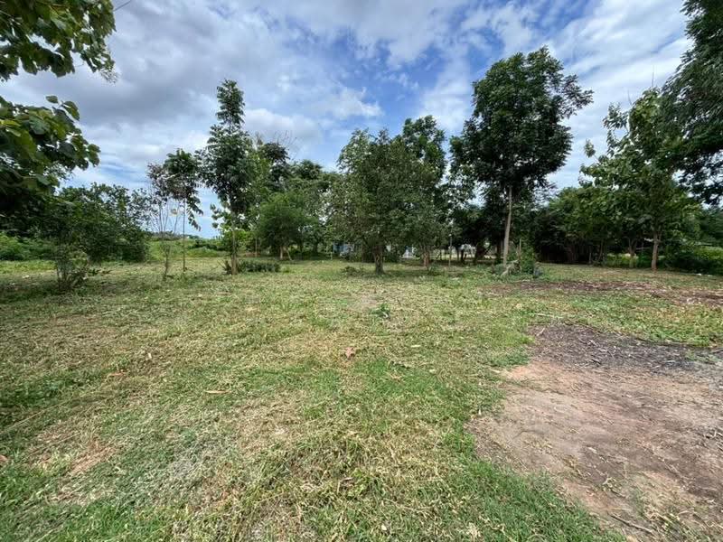 บ้านเดี่ยวพร้อมที่ดินหัวหิน ประจวบคีรีขันธ์, ประจวบคีรีขันธ์, ทับใต้, หัวหิน, ประจวบคีรีขันธ์, 117 ตร.ม., บ้านเดี่ยว ขาย, โดย The Best Property  กิต, 500512703 - DDproperty.com