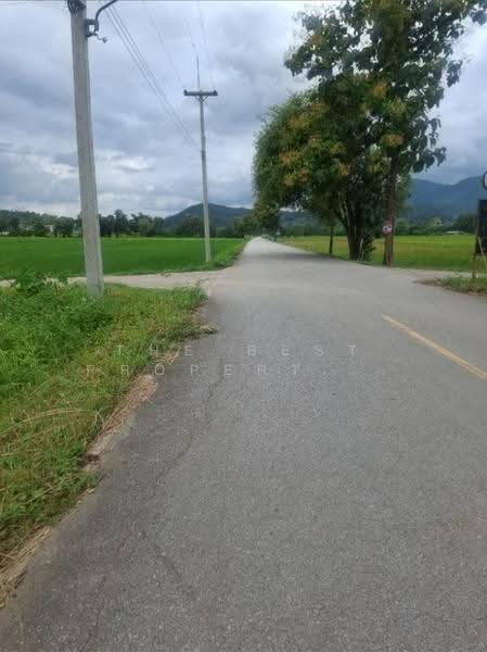 ที่ดินเทิง เชียงราย, Chiang Rai, Wiang, Thoeng, Chiang Rai, , 3,580 sqm, Land For Sale, by The Best Property   ไนล์, 500512740 - DDproperty.com