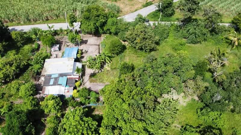 1-BR House, Chon Buri (Pattaya), Nong Samsak, Ban Bung, Chon Buri (Pattaya), 1 Bedroom, 47 sqm, Single Detached House For Sale, by Valen Lokunpai , 500512822 - DDproperty.com