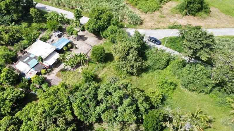 1-BR House, Chon Buri (Pattaya), Nong Samsak, Ban Bung, Chon Buri (Pattaya), 1 Bedroom, 47 sqm, Single Detached House For Sale, by Valen Lokunpai , 500512822 - DDproperty.com