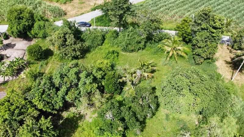 1-BR House, Chon Buri (Pattaya), Nong Samsak, Ban Bung, Chon Buri (Pattaya), 1 Bedroom, 47 sqm, Single Detached House For Sale, by Valen Lokunpai , 500512822 - DDproperty.com