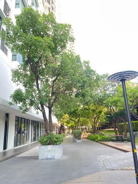 Fuse Mobius Ramkhamhaeng Klongton, Bangkok, Soi Ramkhamhaeng 3/1, Suan Luang, Bangkok, 1 Bedroom, 29 sqm, Condo For Sale, by Pichamon Boonchit, 500512866 - DDproperty.com