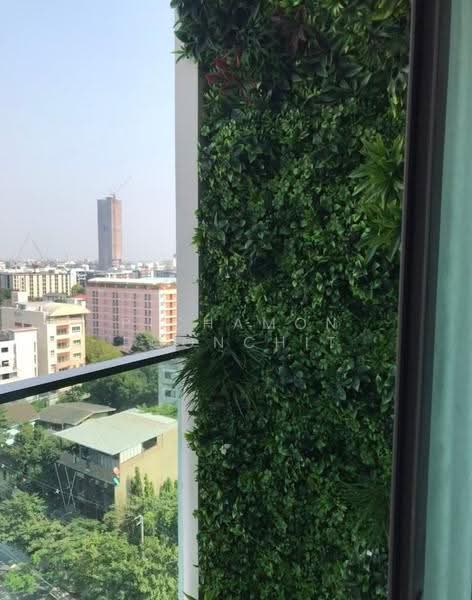 Mayfair Place Sukhumvit 50, Bangkok, Soi Sukhumvit 50, Phra Kanong, Khlong Toei, Bangkok, 2 Bedrooms, 51 sqm, Condo For Sale, by Pichamon Boonchit, 500512969 - DDproperty.com