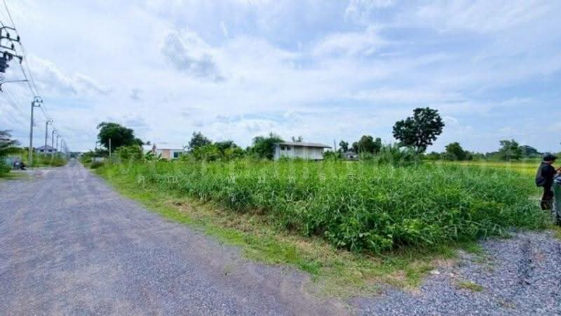 หนองจอก, Bangkok, ประชาสำราญ, Khlong Sibsong, Nong Chok, Bangkok, , 400 sqm, Land For Sale, by คุณ พิมพ์สิริ ( ทราย ), 500513053 - DDproperty.com