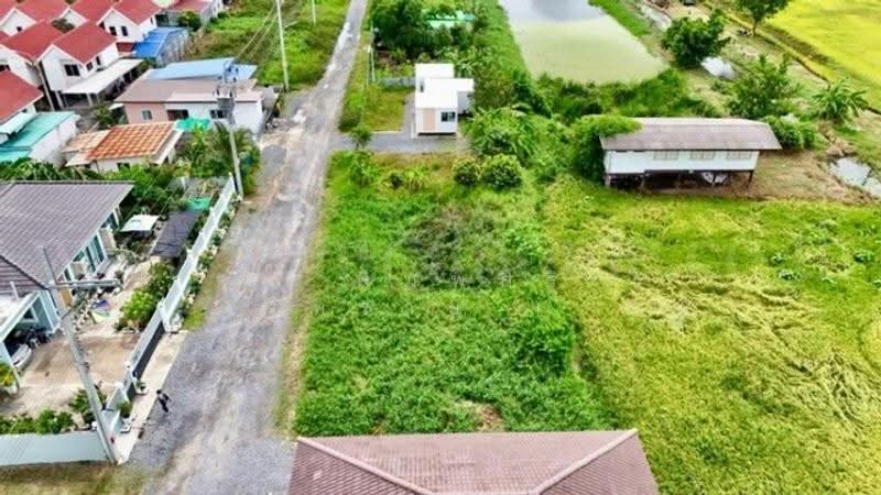 หนองจอก, กรุงเทพ, ประชาสำราญ, คลองสิบสอง, หนองจอก, กรุงเทพ, 400 ตร.ม., ที่ดิน ขาย, โดย คุณ พิมพ์สิริ ( ทราย ), 500513053 - DDproperty.com
