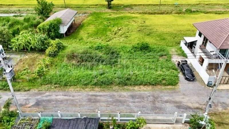 หนองจอก, Bangkok, ประชาสำราญ, Khlong Sibsong, Nong Chok, Bangkok, , 400 sqm, Land For Sale, by คุณ พิมพ์สิริ ( ทราย ), 500513053 - DDproperty.com
