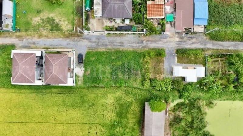 หนองจอก, Bangkok, ประชาสำราญ, Khlong Sibsong, Nong Chok, Bangkok, , 400 sqm, Land For Sale, by คุณ พิมพ์สิริ ( ทราย ), 500513053 - DDproperty.com