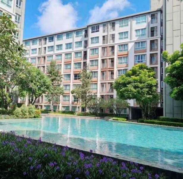 Dcondo Ping, Chiang Mai, 243 Super Highway Road Chiang Mai - Lampang, Fa Ham, Muang Chiang Mai, Chiang Mai, 1 Bedroom, 30 sqm, Condo For Rent, by Baandeedee Chiangmai, 500513150 - DDproperty.com
