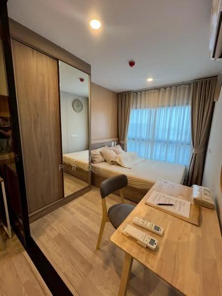 Plum Condo Sukhumvit 97/1, Bangkok, 204 Soi Sukhumvit 97/1, Bang Chak, Phra Khanong, Bangkok, 1 Bedroom, 30 sqm, Condo For Rent, by Connex Property, 500513271 - DDproperty.com