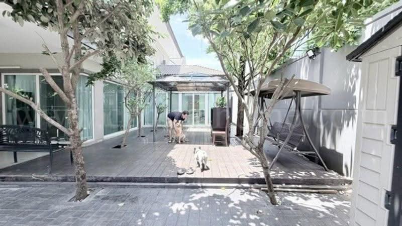 Casa Grand Sukhapiban 5 : คาซ่า แกรนด์ สุขาภิบาล 5, กรุงเทพ, ซอย สุขาภิบาล 5, สายไหม, กรุงเทพ, 260 ตร.ม., บ้านเดี่ยว ขาย, โดย คุณ พิมพ์สิริ ( ทราย ), 500513283 - DDproperty.com