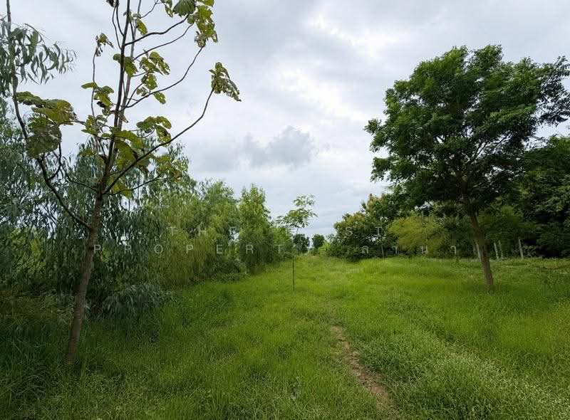 ที่ดินพร้อมสิ่งปลูกสร้างโพธิ์เก้าต้น ลพบุรี, Lop Buri, Pho Kao Ton, Muang Lop Buri, Lop Buri, , 2,296 sqm, Land For Sale, by The Best Property ลาน่า, 500513498 - DDproperty.com