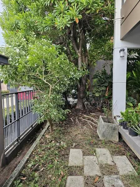 Manthana Onnut–Wongwaen 4 : มัณฑนา อ่อนนุช-วงแหวน 4, กรุงเทพ, ถนนวงแหวนตะวันออก, ประเวศ, กรุงเทพ, 136 ตร.ม., บ้านเดี่ยว ขาย, โดย Hathairat Rookphan, 500513507 - DDproperty.com