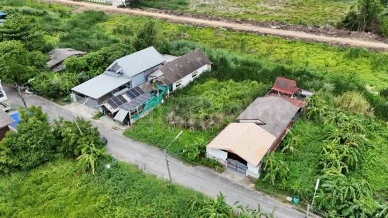 รังสิต-นครนายก, Pathum Thani, รังสิต-นครนายก, Prachathipat, Thanyaburi, Pathum Thani, , 472 sqm, Land For Sale, by คุณ วันนภา (อีฟ), 500513556 - DDproperty.com