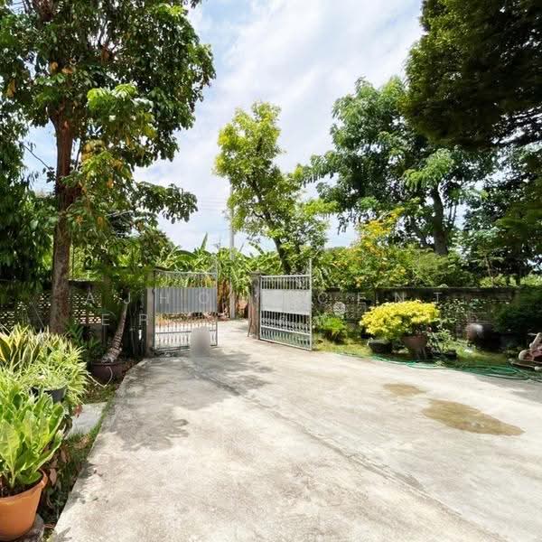 บ้านพร้อมที่ดิน215ตรว. หลังบ้านติดคลอง ซ.เลียบคลองฯฝั่งใต้2/2 เพชรเกษม69, กรุงเทพ, หนองแขม, กรุงเทพ, 950 ตร.ม., บ้านเดี่ยว ขาย, โดย AJHOMECENTER - คุณเอ็กซ์, 500514091 - DDproperty.com