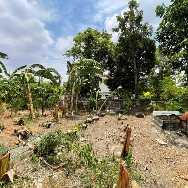 บ้านพร้อมที่ดิน215ตรว. หลังบ้านติดคลอง ซ.เลียบคลองฯฝั่งใต้2/2 เพชรเกษม69, กรุงเทพ, หนองแขม, กรุงเทพ, 950 ตร.ม., บ้านเดี่ยว ขาย, โดย AJHOMECENTER - คุณเอ็กซ์, 500514091 - DDproperty.com
