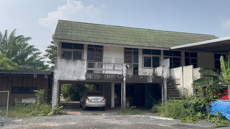 ให้เช่า บ้านมีบริเวณ อยู่หลัง ปตท.ท่าช้าง ขนาด 167 ตร.ว. ขนาดที่ดิน 17x40 เมตร เช่า 9,000 บาท, สงขลา, คลองแห, หาดใหญ่, สงขลา, 400 ตร.ม., บ้านเดี่ยว ให้เช่า, โดย Rachen Nopsuwan, 500514210 - DDproperty.com