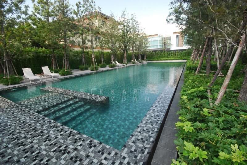 Veranda Residence Pattaya : วีรันดา เรสซิเดนซ์ พัทยา, ชลบุรี, 212 วีรันดา เรสซิเดนซ์, บางละมุง, ชลบุรี, 56 ตร.ม., คอนโด ให้เช่า, โดย Sikkares Ploydang, 500514502 - DDproperty.com