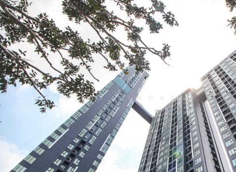 Modiz Sukhumvit 50 : โมดิซ สุขุมวิท 50, กรุงเทพ, ซอยสุขุมวิท 50, พระโขนง, คลองเตย, กรุงเทพ, 47 ตร.ม., คอนโด ให้เช่า, โดย Rojjana Jindasri, 500514511 - DDproperty.com