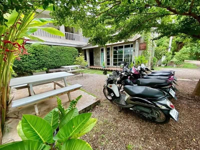 Detached house in the alley behind Wat Umong, Chiang Mai, Su Thep, Muang Chiang Mai, Chiang Mai, 6 Bedrooms, 200 sqm, Single Detached House For Sale, by Shori Asset Group Co., Ltd., 500514556 - DDproperty.com