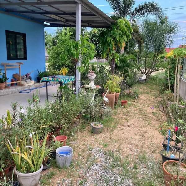 บ้าน 2-ห้องนอน, ชลบุรี, หนองปลาไหล, บางละมุง, ชลบุรี, 66 ตร.ม., บ้านเดี่ยว ขาย, โดย Nattasak Poosuwan, 500514692 - DDproperty.com