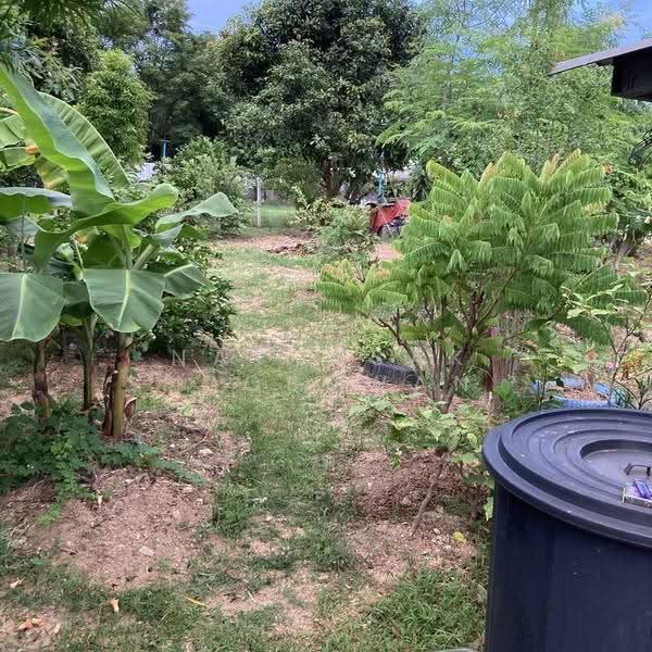 บ้าน 2-ห้องนอน, ชลบุรี, หนองปลาไหล, บางละมุง, ชลบุรี, 66 ตร.ม., บ้านเดี่ยว ขาย, โดย Nattasak Poosuwan, 500514692 - DDproperty.com
